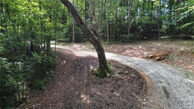 View of road with a forest view