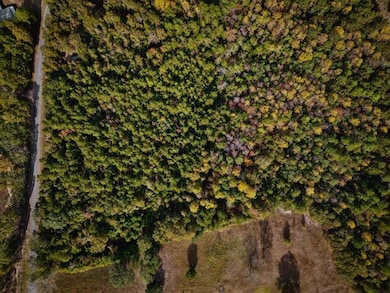 7.32+/- AC Oscar Lee Rd, Poplarville, MS 39470 - photo 3