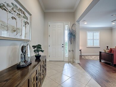 30201 Hackney Loop, Mount Dora, FL 32757 - photo 3