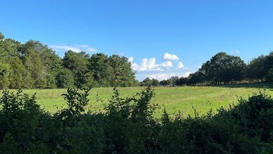 130 Watson Road (Lot 1), Enoree, SC 29335 - photo 3