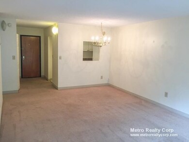 70 Centre St unit 6e, Brookline, MA 02446 - photo 2