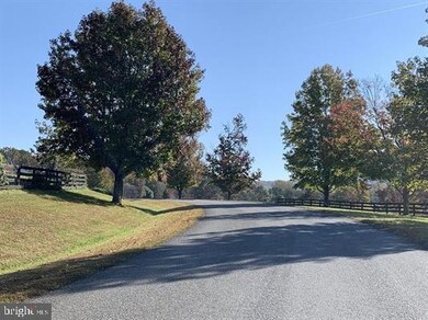 LOT 39 Blandemar Dr, Samuel Miller, VA 22903 - photo 2