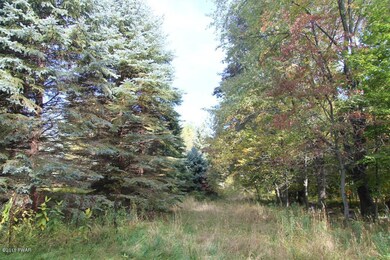 690 Church St, Moscow, PA 18444 - photo 2