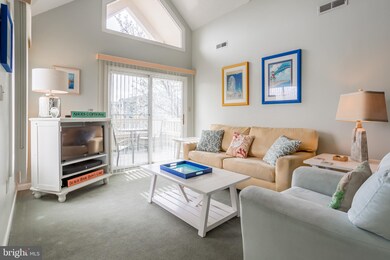 202 N Heron Dr, Ocean City, MD 21842 - photo 3