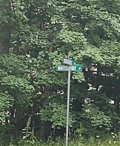 0 Albert St unit 12 4870525, Moultonborough, NH 03254 - photo 2