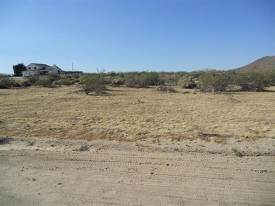 0 Felsite unit 9971269, Rosamond, CA 93560 - photo 5