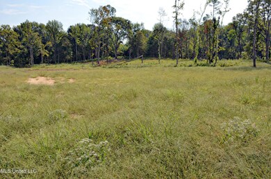 Land 6
