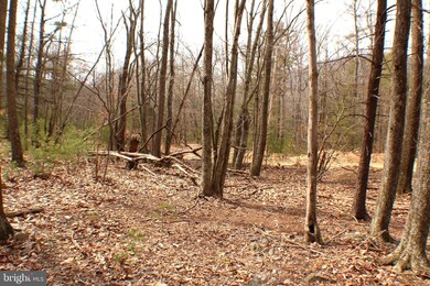 Lot 14 Leisure Acres Rd, Wardensville, WV 26851 - photo 2
