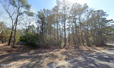 Pond View 2
