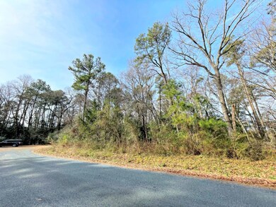 Lot 23 Sandpiper Ln unit 23, Atlantic, VA 23303 - photo 7