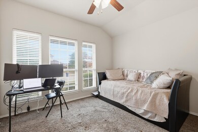 217 Villanova Dr, van Alstyne, TX 75495 - photo 7