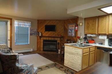 Timberbrook Village Condos unit TBV  a203, Brian Head, UT 84719 - photo 5