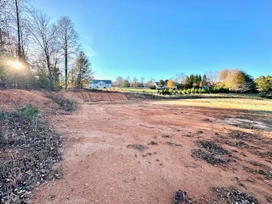 184 Spivey Creek Rd, Landrum, SC 29356 - photo 2