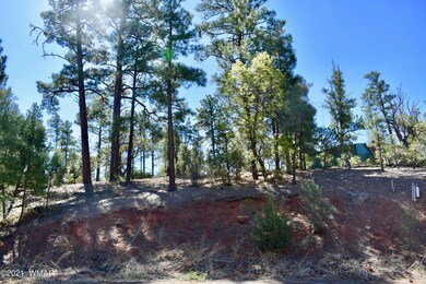 4601 S Manzanita Way, Show Low, AZ 85901 - photo 2