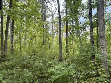 TBD - E 16th Ave, Sumner, WI 54868 - photo 7