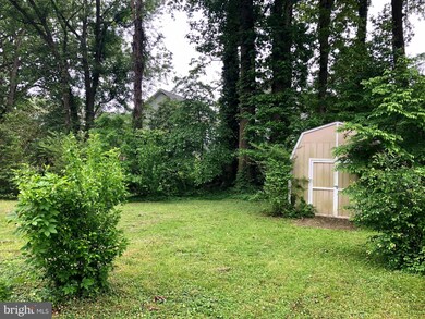 6601 Orland St, Falls Church, VA 22043 - photo 4