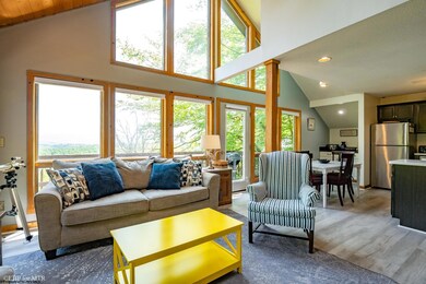 65 Snow Run Rd, Davis, WV 26260 - photo 6