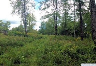 0 County Route 6 unit 105501, Clermont, NY 12526 - photo 4