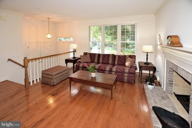 3623 Ransom Place, Alexandria, VA 22306 - photo 5