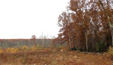 283 Williams Crossing Rd, Greene, RI 02827 - photo 6