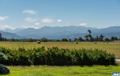 94 Tulip Ln, Sequim, WA 98382 - photo 5