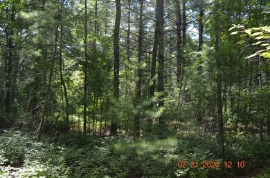 0 S Worcester St - Rear, Norton, MA 02766 - photo 5