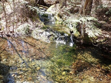 0 Route 2 Route unit 4911667, St. Johnsbury, VT 05819 - photo 4