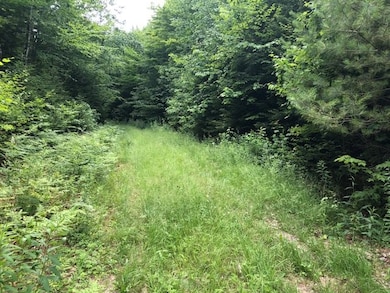 00 Skytop Dr, Newbury, NH 03255 - photo 6