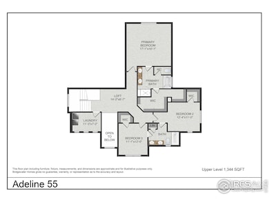 901 Hummocky Way, Windsor, CO 80550 - photo 3