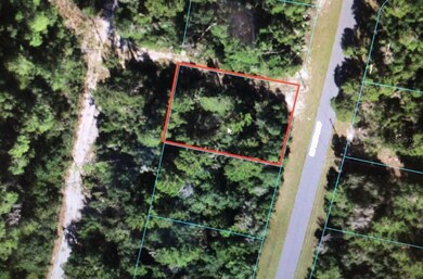 0 SW 161 Loop unit OM641467, Ocala, FL 34473 - photo 3