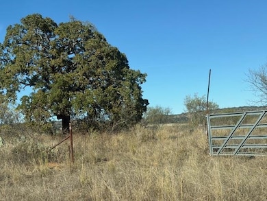 0 Commerce St, Pontotoc, TX 76869 - photo 2