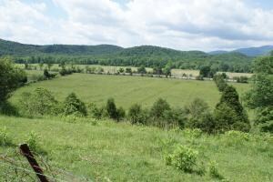 Field