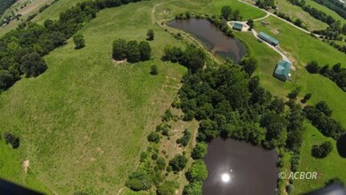both ponds