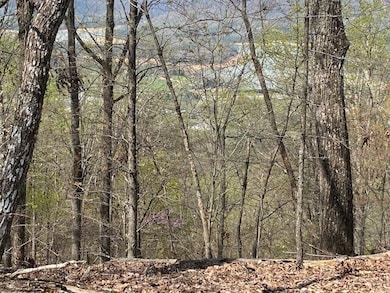 155 Chelaque Way, Mooresburg, TN 37811 - photo 4