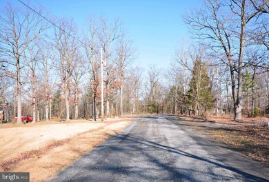 0 Lot 17 Lower View Rd unit 1000406509, Strasburg, VA 22657 - photo 3