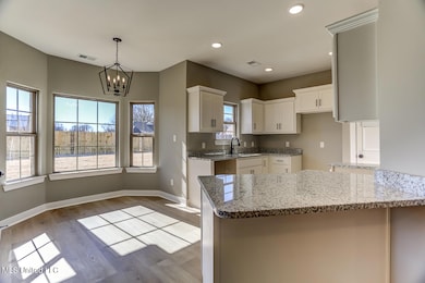 6587 Boxley Pointe, Walls, MS 38680 - photo 7