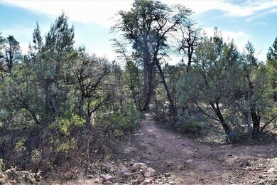 Lot 48 of Manzanita Hills (2)