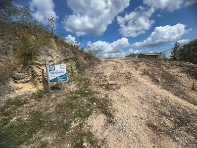 Carr 648 Bo Tierras Nuevas Saliente unit Lote 9-E, Manatí, PR 00674 - photo 7