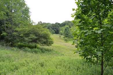 6299 Edray Rd, Cass, WV 24927 - photo 2