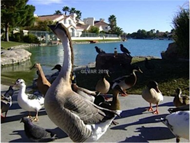 Other. Enjoy nature around the lake