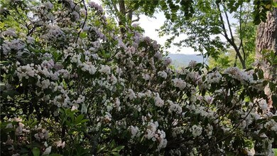 Rhododendrons appear here and there throughout the