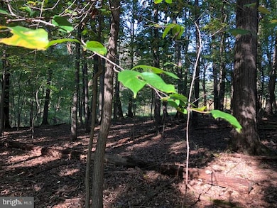 0 Old Washington Rd unit 1009928882, Eldersburg, MD 21784 - photo 6