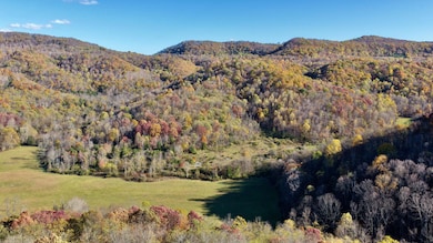 3025 Broad Run Rd, Sinks Grove, WV 24976 - photo 6