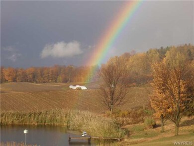 View. Catch a Rainbow view!