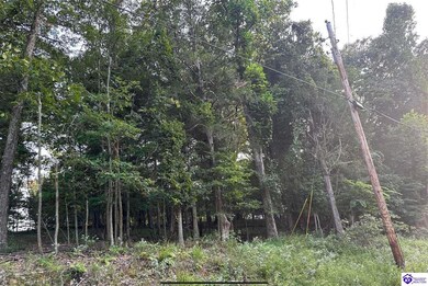 539 Strawberry Hill Dr, Doe Valley, KY 40108 - photo 5