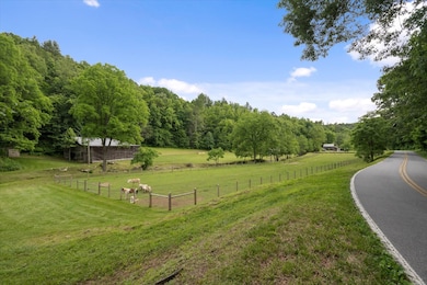 942 Paint Fork Rd, Mars Hill, NC 28754 - photo 4