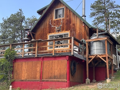 147 Cedar Dr, Lyons, CO 80540 - photo 6