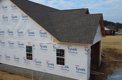 5989 County Road 33, Hollywood, AL 35752 - photo 5