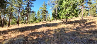 160 Torto Loop, Kila, MT 59920 - photo 6