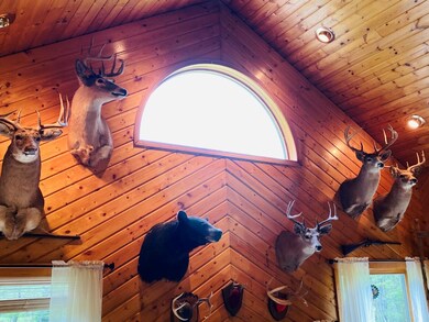 9823 Hwy 86 unit W3parcels, Tomahawk, WI 54487 - photo 5